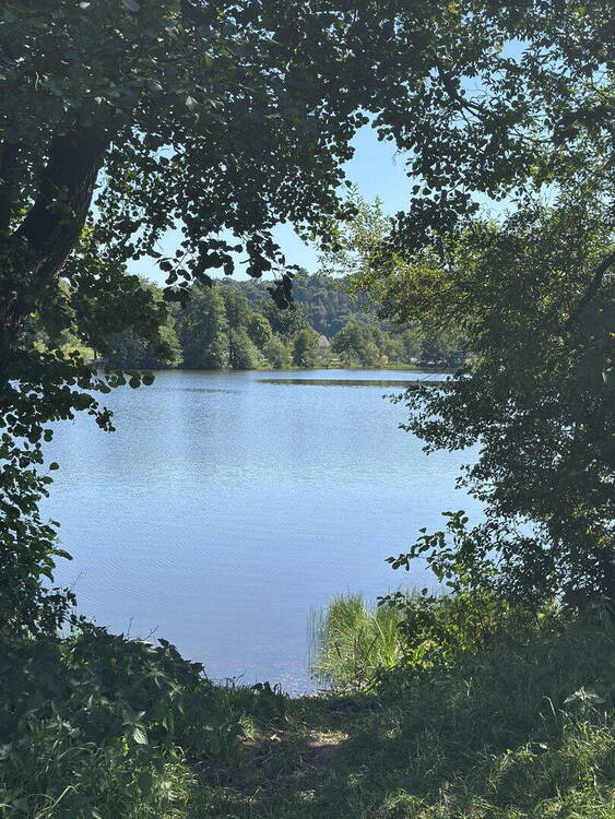 Traumhafte Eigentumswohnung direkt am Saltendorfer Naturbad