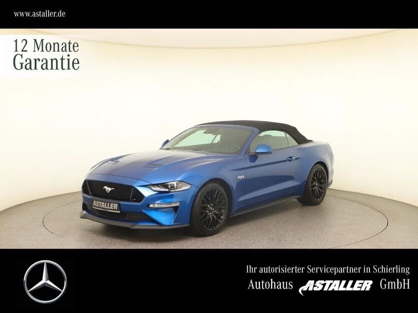 Mustang