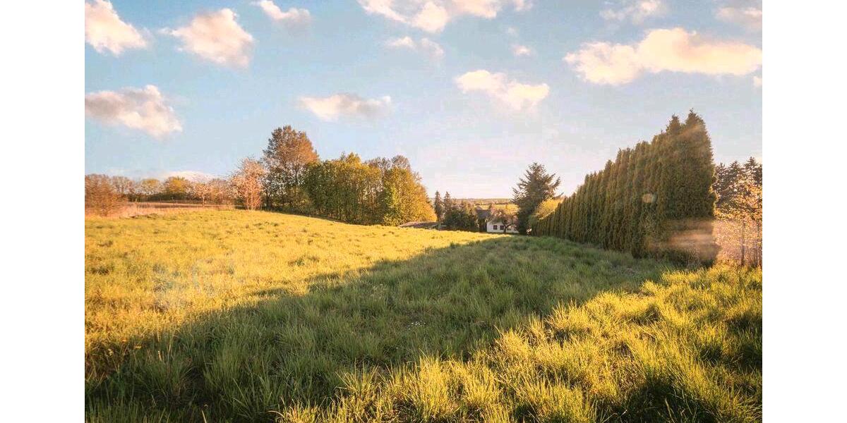 Einfamilienhaus Geiselhöring - 11 Zimmer, 300 m&sup2;, 749.000&euro; | Angebot:26276397