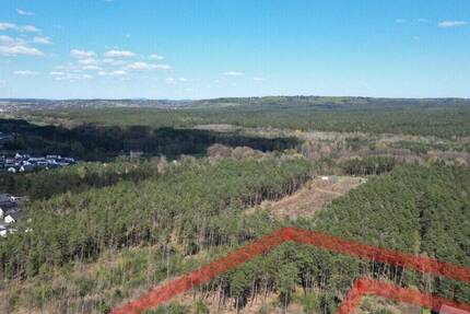 Grundstück Nittenau Bergham - 835.000&euro; | Angebot:26309416