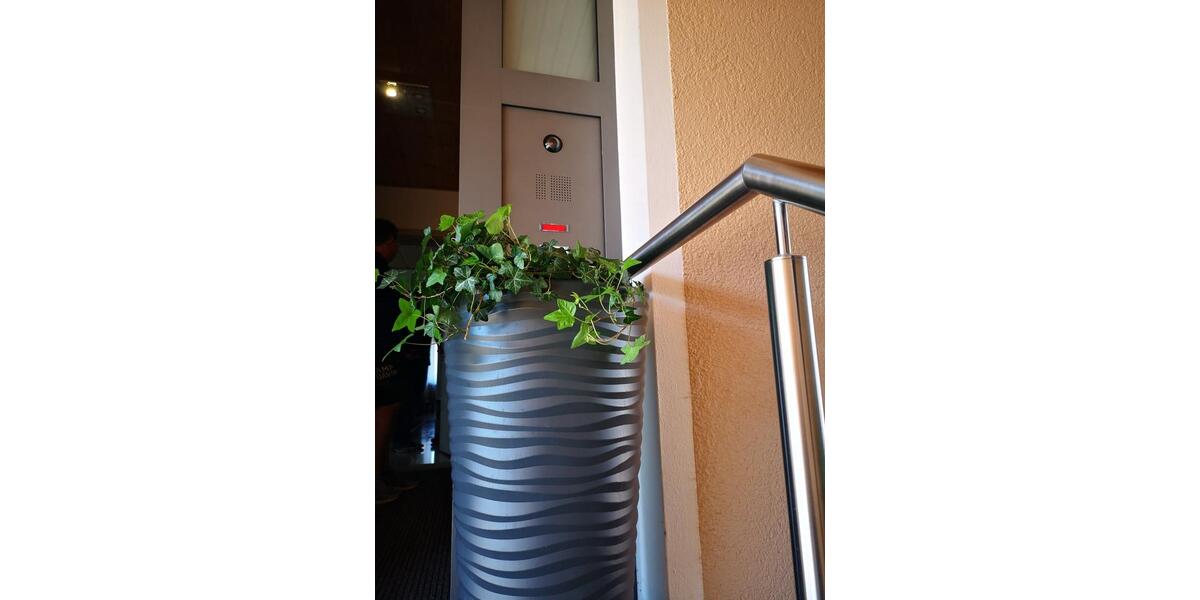 Erdgeschoßwohnung Regensburg Brandlberg - 3 Zimmer, 105 m&sup2;, 425.000&euro; | Angebot:26757418