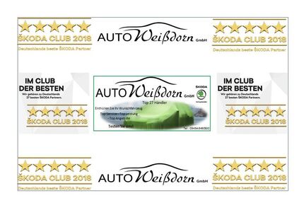 Skoda Scala 5.000 km 28.700 &euro; Aufhausen 93089