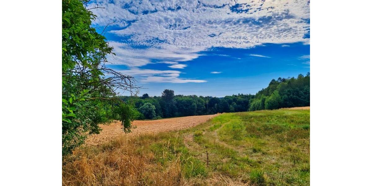 Etagenwohnung Regensburg Brandlberg-Keilberg - 4 Zimmer, 117 m&sup2;, 249.000&euro; | Angebot:26118272