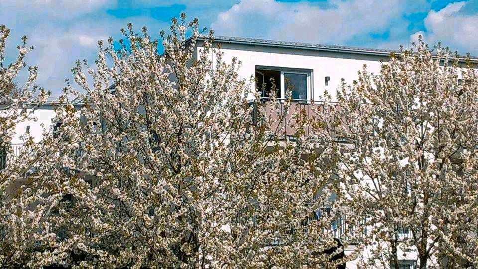Dachgeschoßwohnung Maxhütte-Haidhof Haidhof - 3 Zimmer, 89 m&sup2;, 333.000&euro; | Angebot:26215534