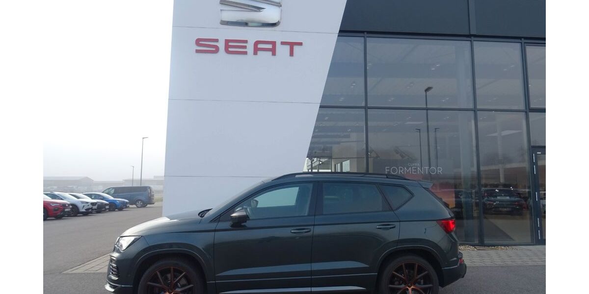 Cupra Ateca 94.400 km 31.000 &euro; Pfatter 93102