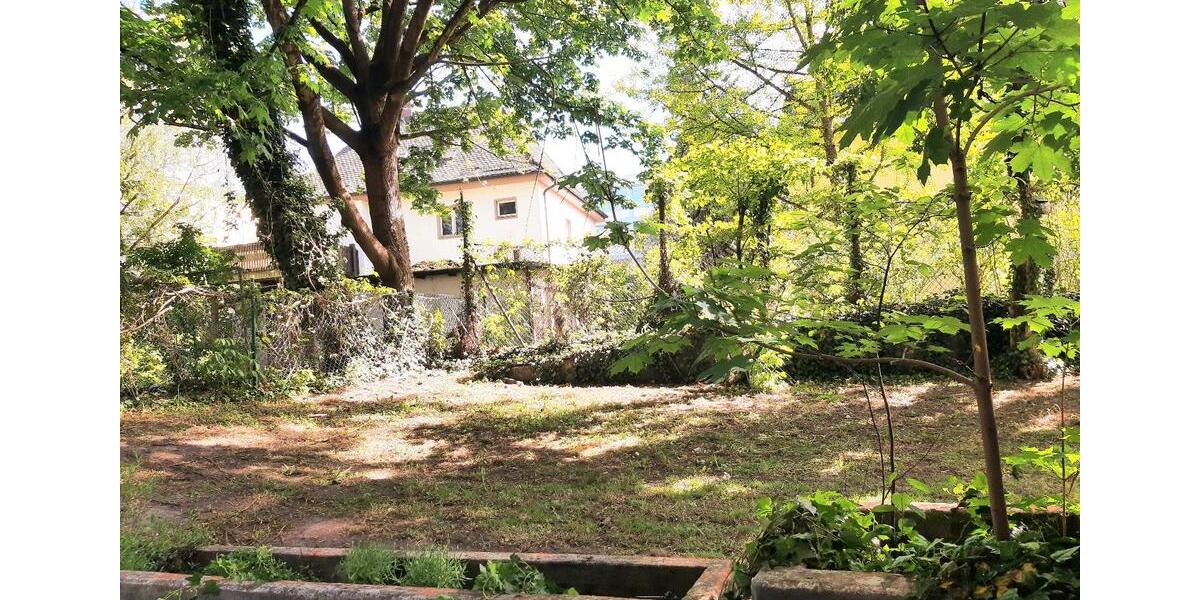 Etagenwohnung Regensburg Brandlberg - 1 Zimmer, 30 m&sup2;, 450&euro; | Angebot:26680223