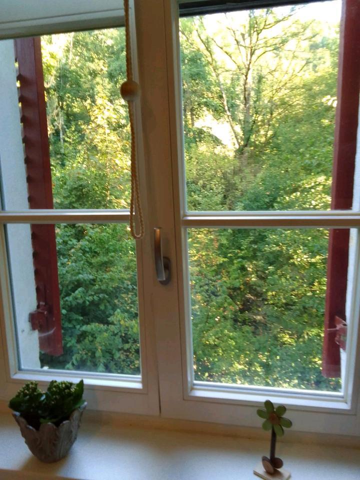 Apartment zu vermieten