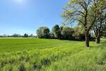 Nachhaltig wohnen, stilvoll leben - sechs Stadthäuser im Einklang mit der Natur!
