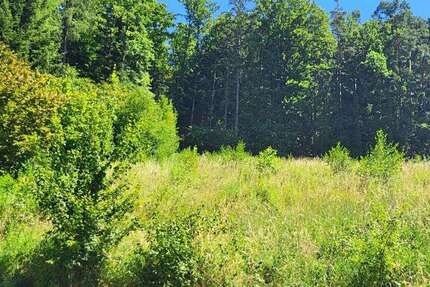 Grundstück zu verkaufen in Pettendorf , Oberpf 729.000 € 1418 m² zimmer