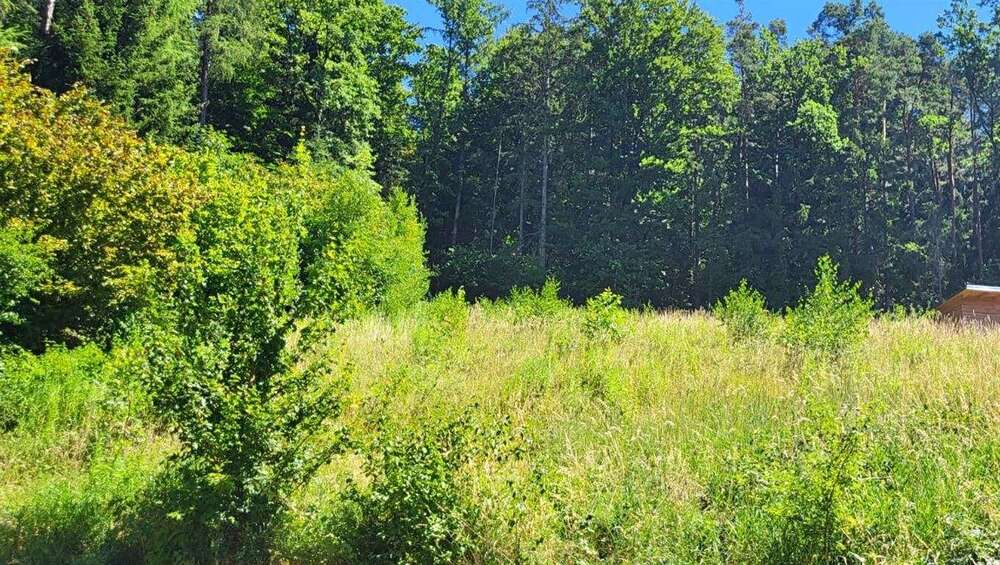 Grundstück zu verkaufen in Pettendorf , Oberpf 729.000 € 1418 m² zimmer