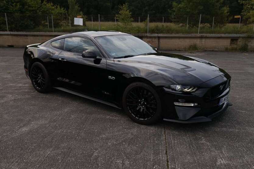 Mustang
