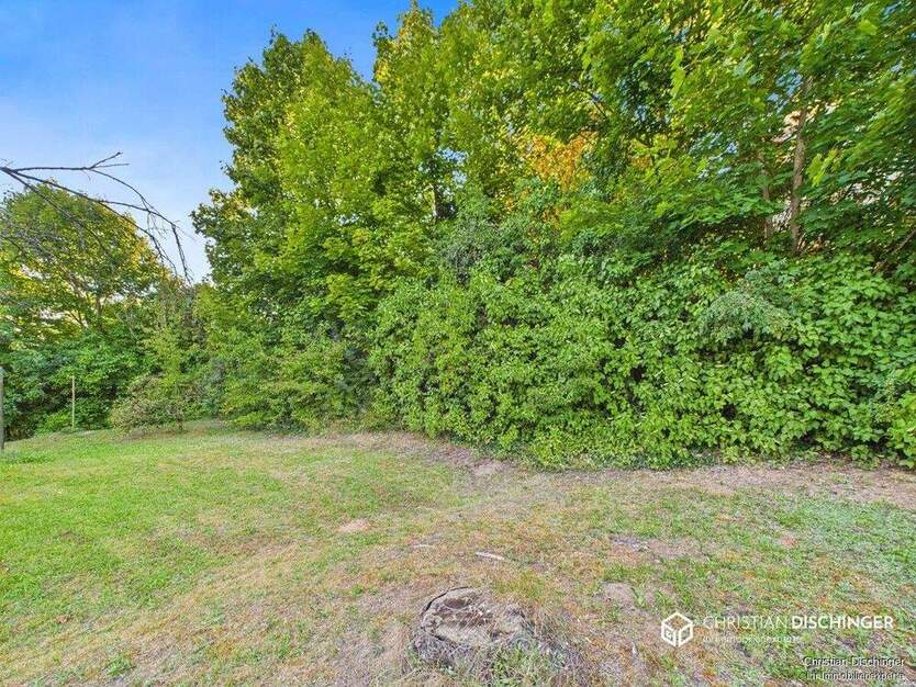 Baugrundstück in begehrter Höhenlage nahe Tempepark zimmer