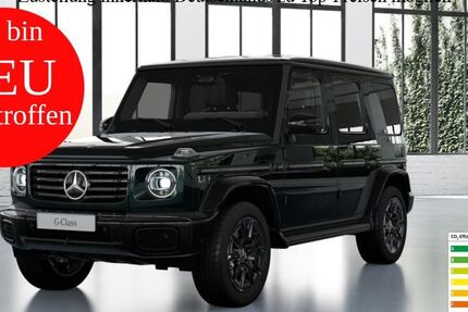 Mercedes-Benz G 450 8.500 km 163.800 &euro; Regensburg 93053