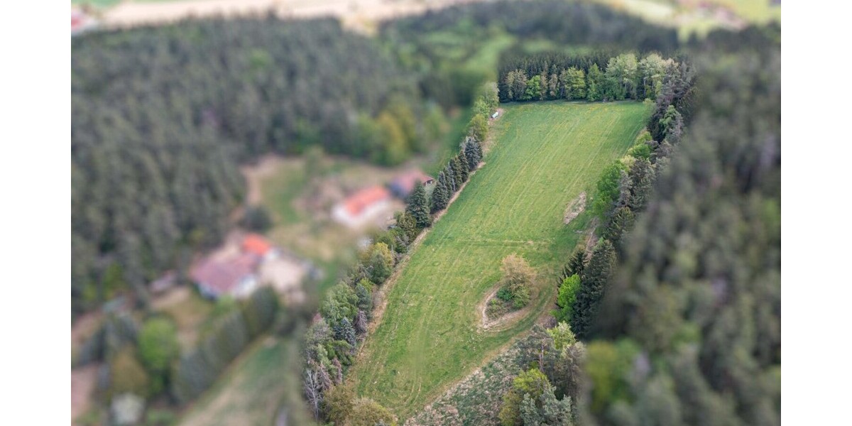 Landwirtschaftliche Nutzfläche mit Erweiterungspotenzial - Grundstück Zell | Angebot:26531586