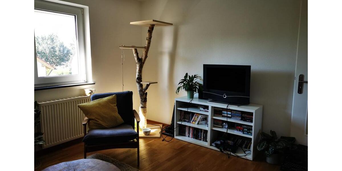 Dachgeschoßwohnung Regensburg Brandlberg - 2 Zimmer, 45 m&sup2;, 600&euro; | Angebot:26664481