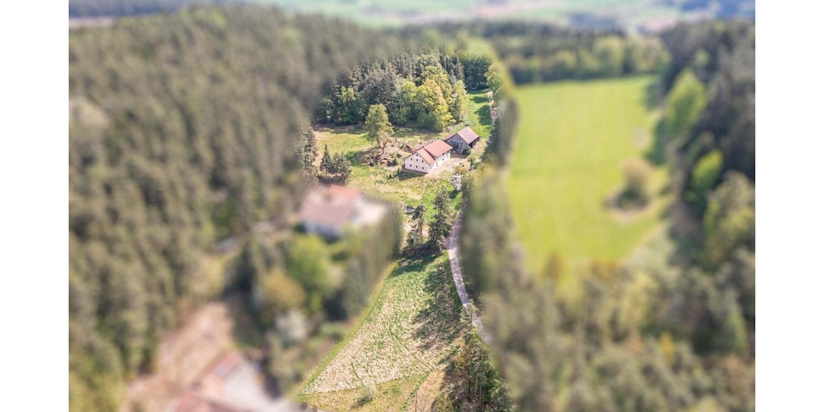 Charmantes Zweifamilienhaus mit großem Grundstück, Waldanteil und viel Potenzial - Zweifamilienhaus Zell | Angebot:26618521