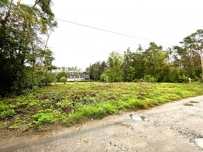 FREIRAUM FÜR IDEEN  BAUEN OHNE VORGABEN - Grundstück Nittenau | Angebot:24991943