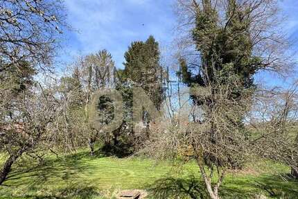 Grundstück Bernhardswald - 180.000&euro; | Angebot:23729296