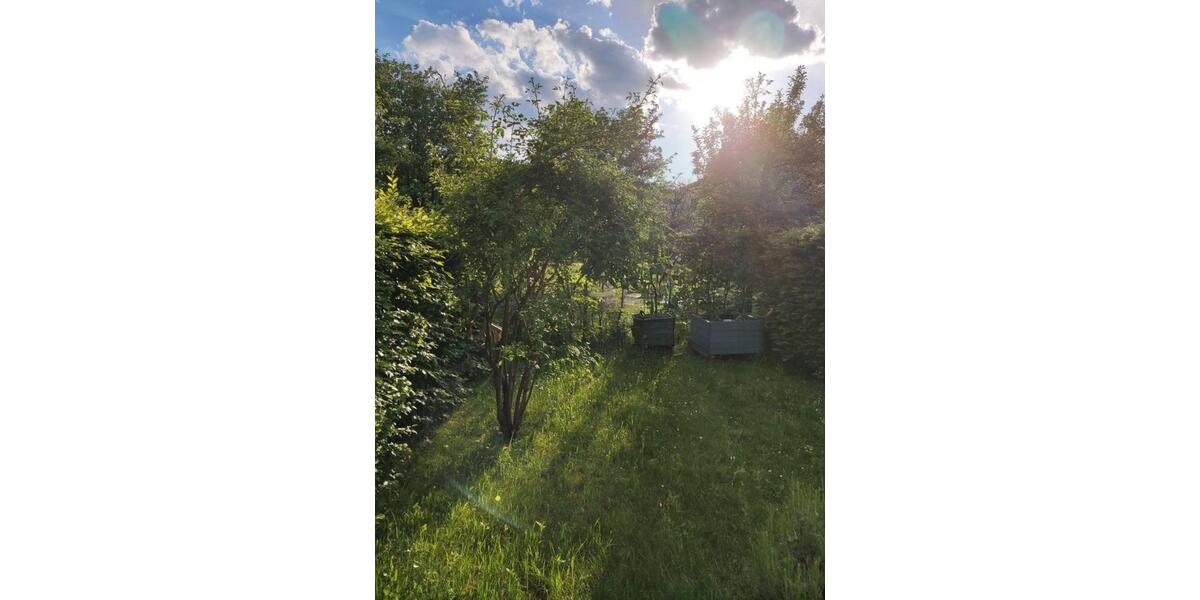 Erdgeschoßwohnung Regensburg Ganghofersiedlung - 2 Zimmer, 56 m&sup2;, 750&euro; | Angebot:25650927