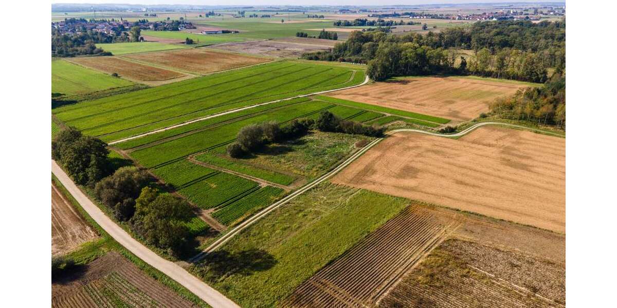 Grundstück Dengling Dengling - 119.288&euro; | Angebot:23578467