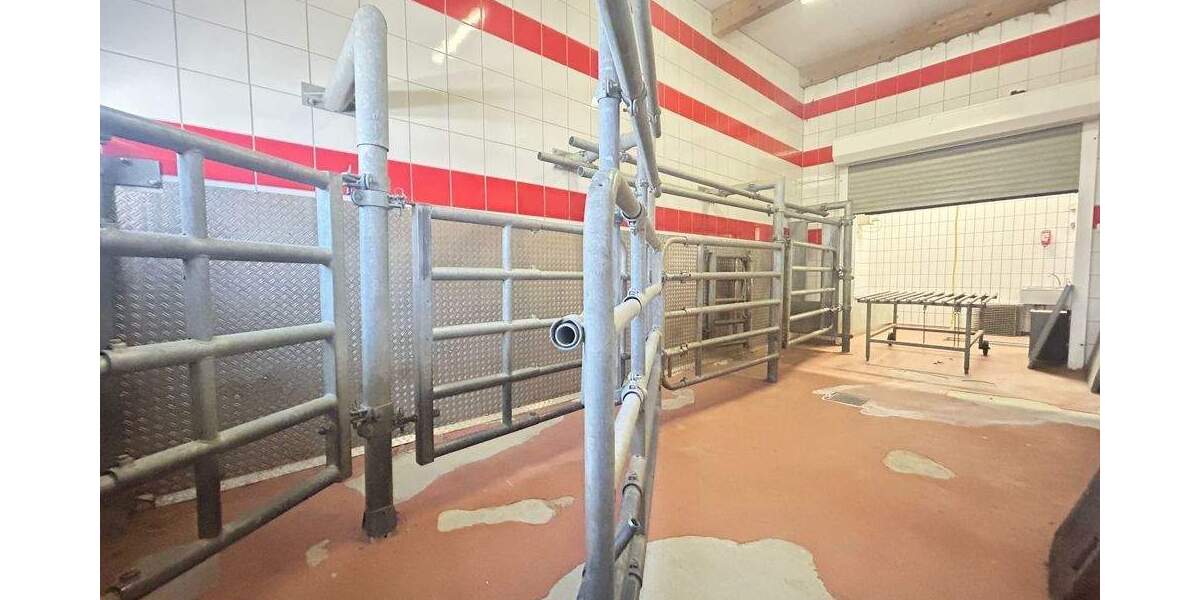 Metzgerei mit Schlachthaus, Laden und riesiger Wohnung zimmer