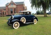 Ford Andere