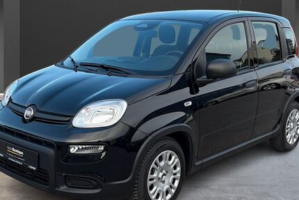 Fiat Panda 9.600 km 12.690 &euro; Schierling 84069