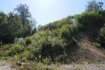 RUHE PUR! NATURPARADIES AM ORTSRAND