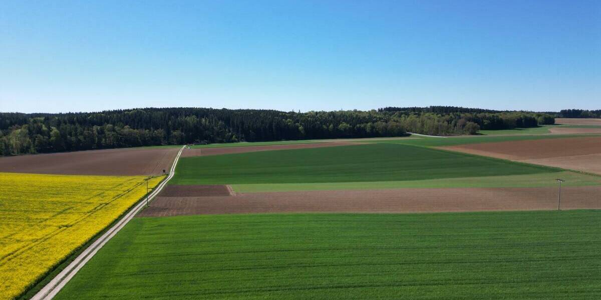 Einfamilienhaus Pentling - 6 Zimmer, 177 m&sup2;, 749.000&euro; | Angebot:26402993