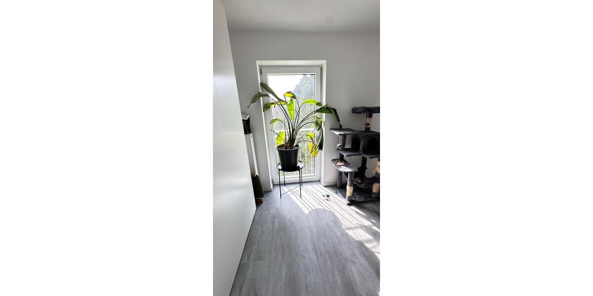Dachgeschoßwohnung Tegernheim - 3 Zimmer, 57 m&sup2;, 650&euro; | Angebot:26468875
