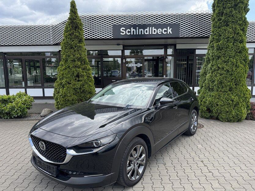 CX-30