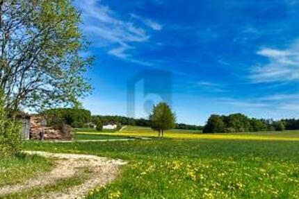 LASSEN SIE IHRER KREATIVITÄT FREIEN LAUF