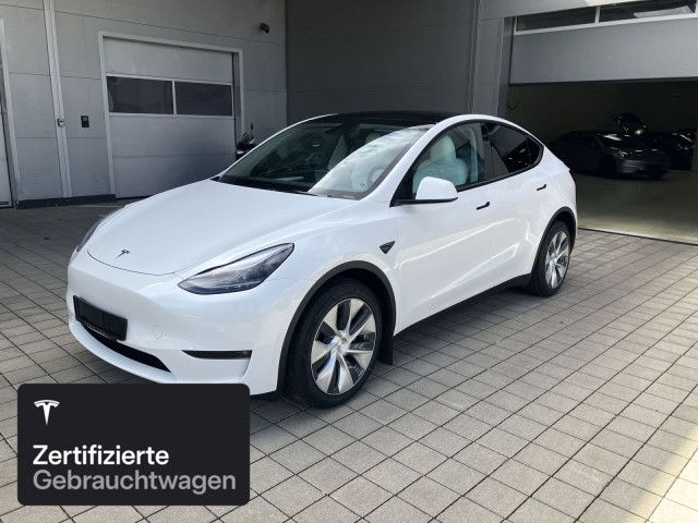 Model Y