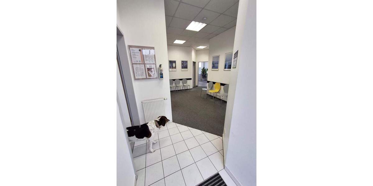 Gewerbeobjekt Bad Abbach - 339.000&euro; | Angebot:25725623