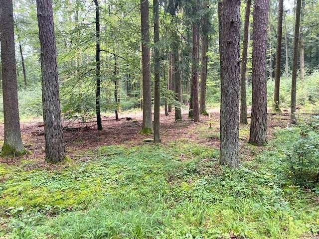 Grundstück in Kelheim Herrnsaal 47.000 € 5200 m²