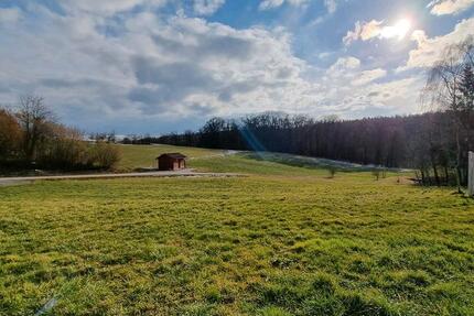 Wohnung Sinzing - 2 Zimmer, 59 m&sup2;, 700&euro; | Angebot:26303039