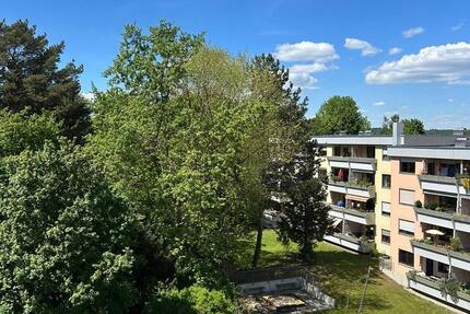 Dachterrassen-Wohnung zu vermieten (2,5- Zi sonnig TG WG-geeignet