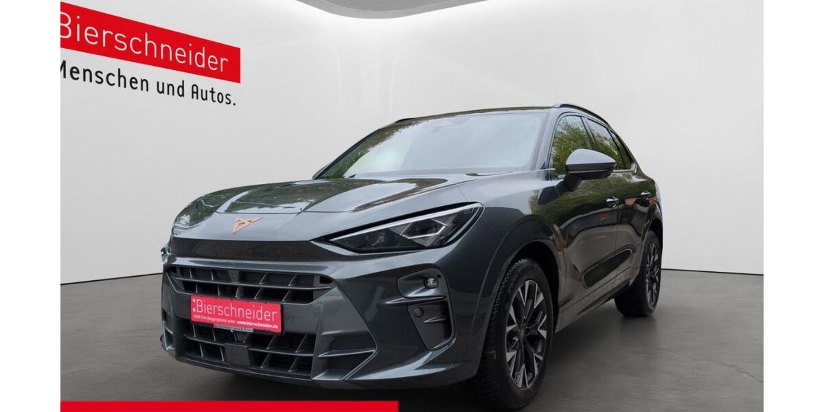 Cupra Terramar 24.400 km 33.250 € Regensburg 93055