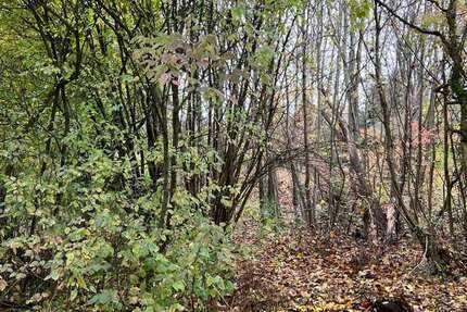 Grundstück zu verkaufen in Regensburg 995.000 € 1100 m² zimmer