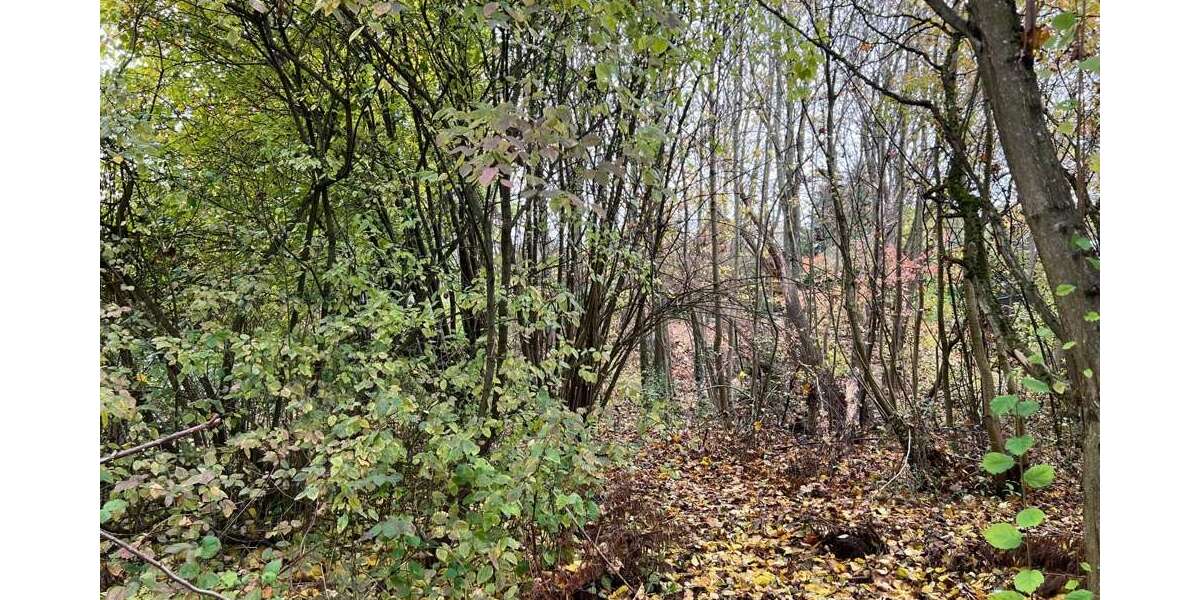 Grundstück zu verkaufen in Regensburg 995.000 € 1100 m² zimmer