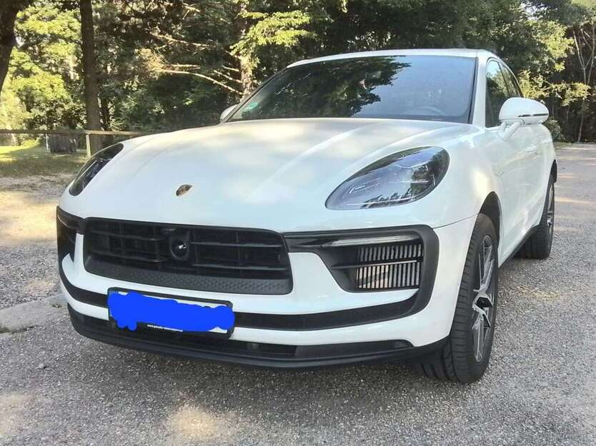 Macan