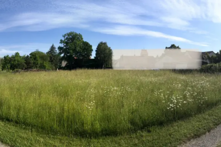 Grundstück zu verkaufen in Nittenau 135.000 € 800 m²