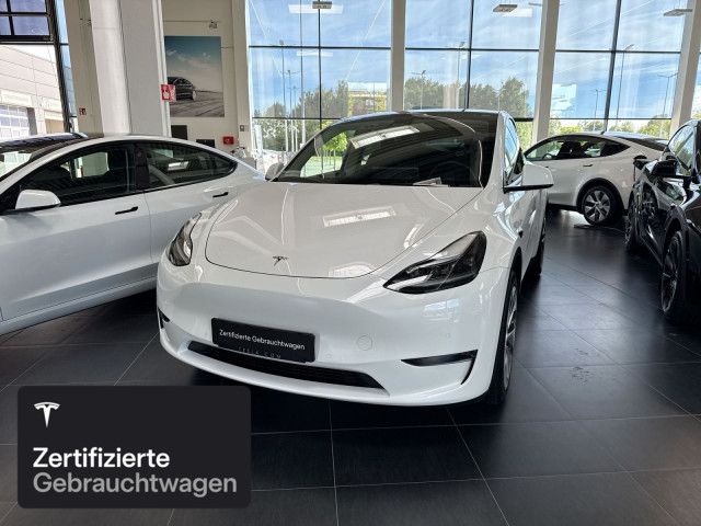 Model Y