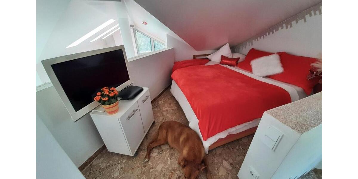Einfamilienhaus Laaber - 2 Zimmer, 146 m&sup2;, 499.000&euro; | Angebot:26224316