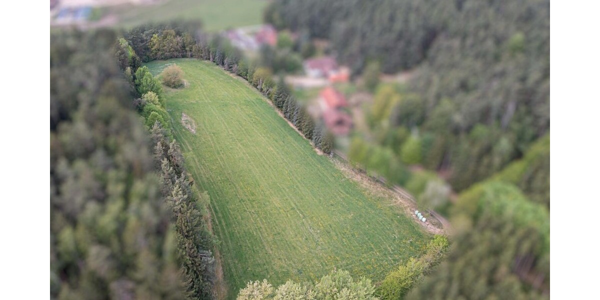 Landwirtschaftliche Nutzfläche mit Erweiterungspotenzial - Grundstück Zell | Angebot:26531586