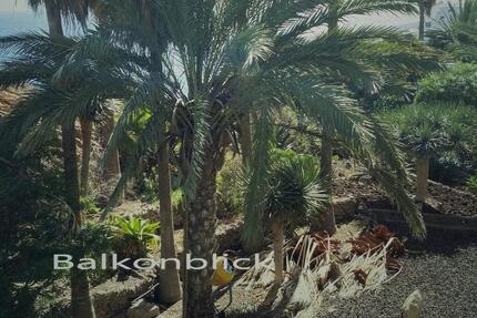 Apartment im Süden Teneriffas-Costa del Silencio- direkt am Meer. zimmer