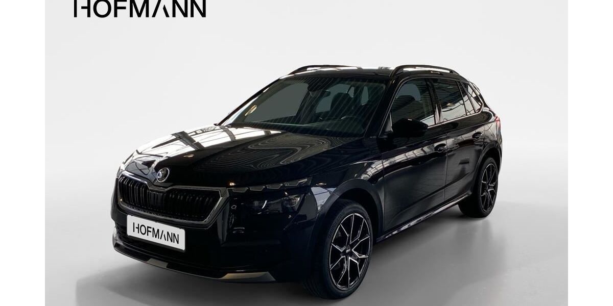 Skoda Kamiq 96.700 km 16.110 &euro; Abensberg 93326