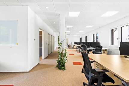 Gewerbeobjekt Sinzing - 849.000&euro; | Angebot:27542825