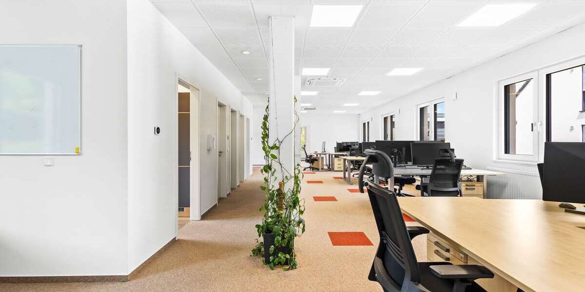 Gewerbeobjekt Sinzing - 849.000&euro; | Angebot:27542825