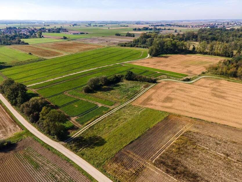 Grundstück zu verkaufen in Dengling 119.288 € 9176 m²